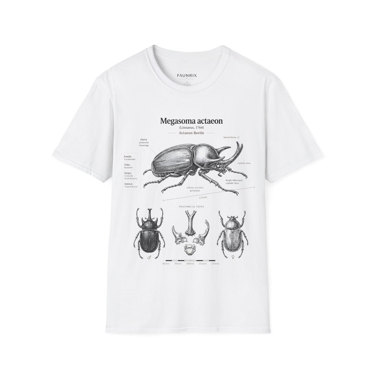 Beetle Anatomy T-Shirt — Megasoma actaeon Scientific Illustration Tee