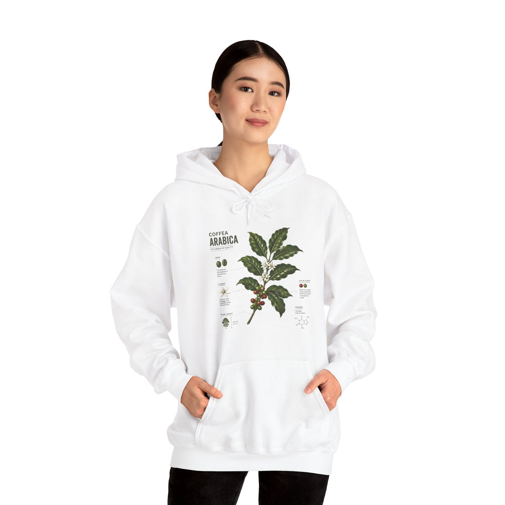 Coffee Plant Hoodie — Coffea Arabica Botanical Illustration Sweatshirt