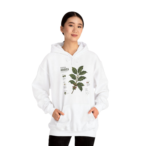 Coffee Plant Hoodie — Coffea Arabica Botanical Illustration Sweatshirt