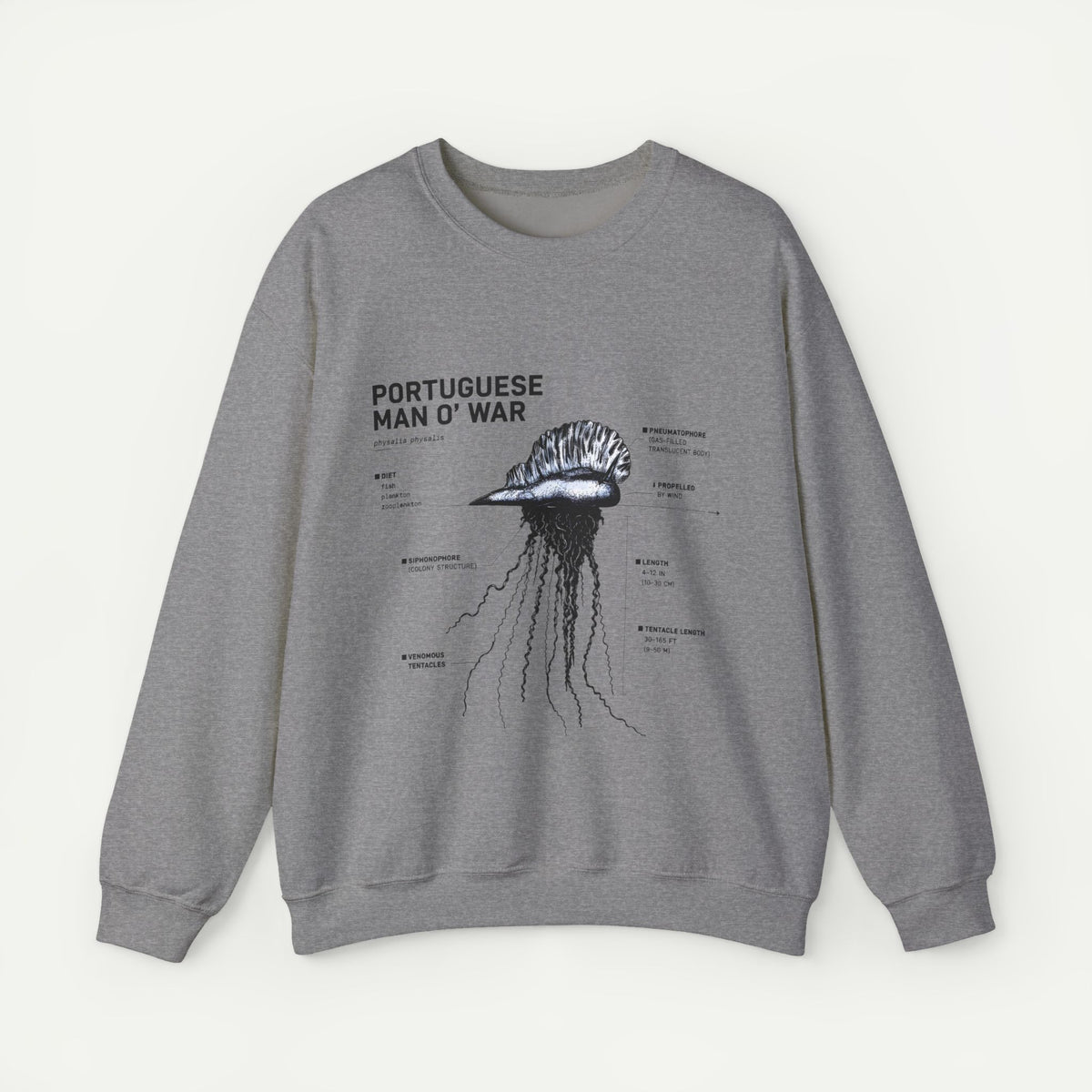 Portuguese Man O' War Anatomy Sweatshirt