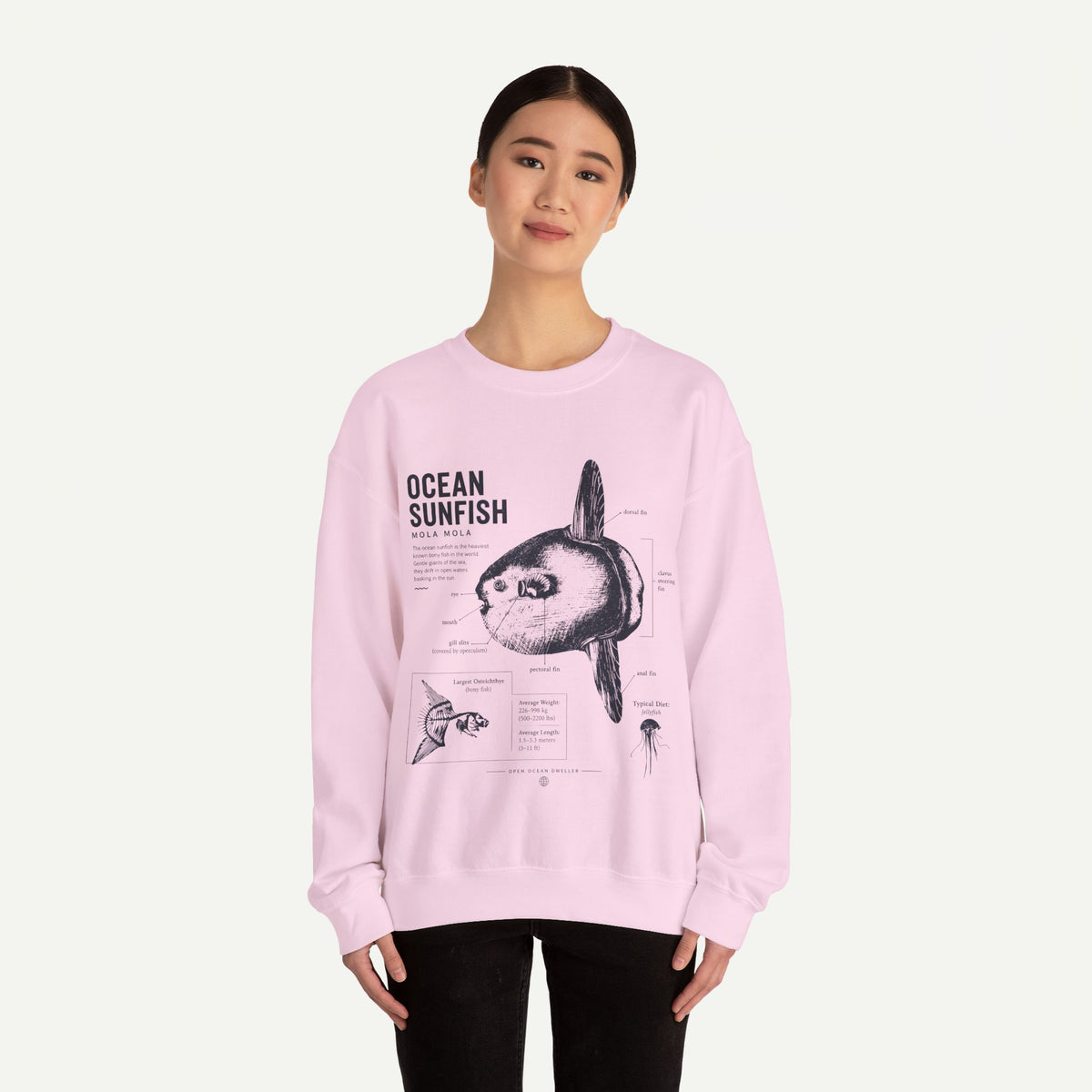 Ocean Sunfish Sweatshirt — Vintage Marine Illustration Pullover