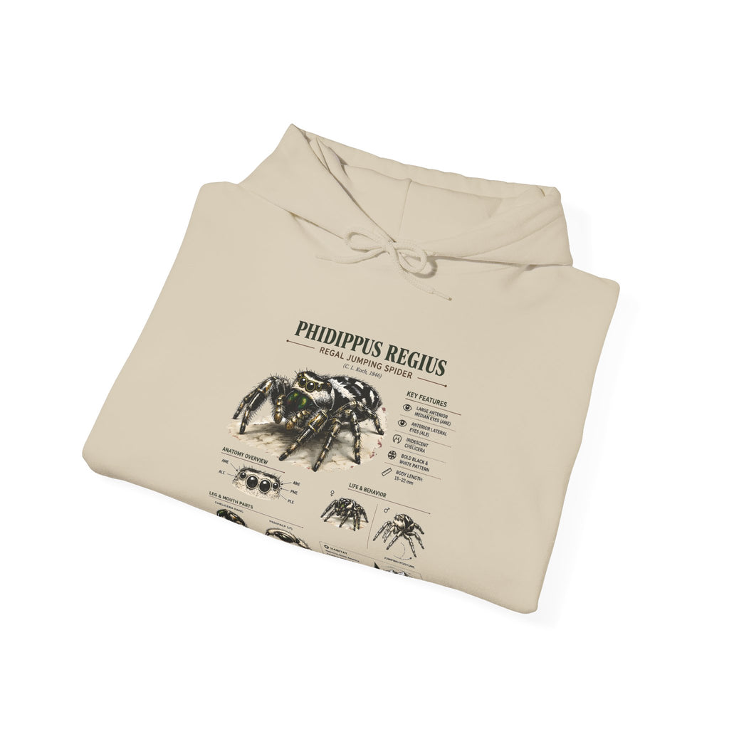 Tarantula Species Hoodie — Phidippus Regius Educational Spider Sweatshirt