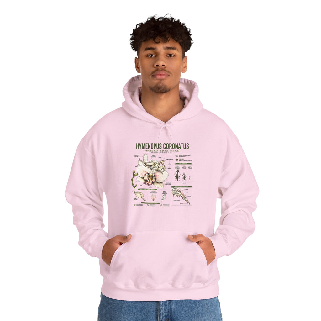 Botanical Hooded Sweatshirt — Hymenopus Coronatus Praying Mantis Illustration