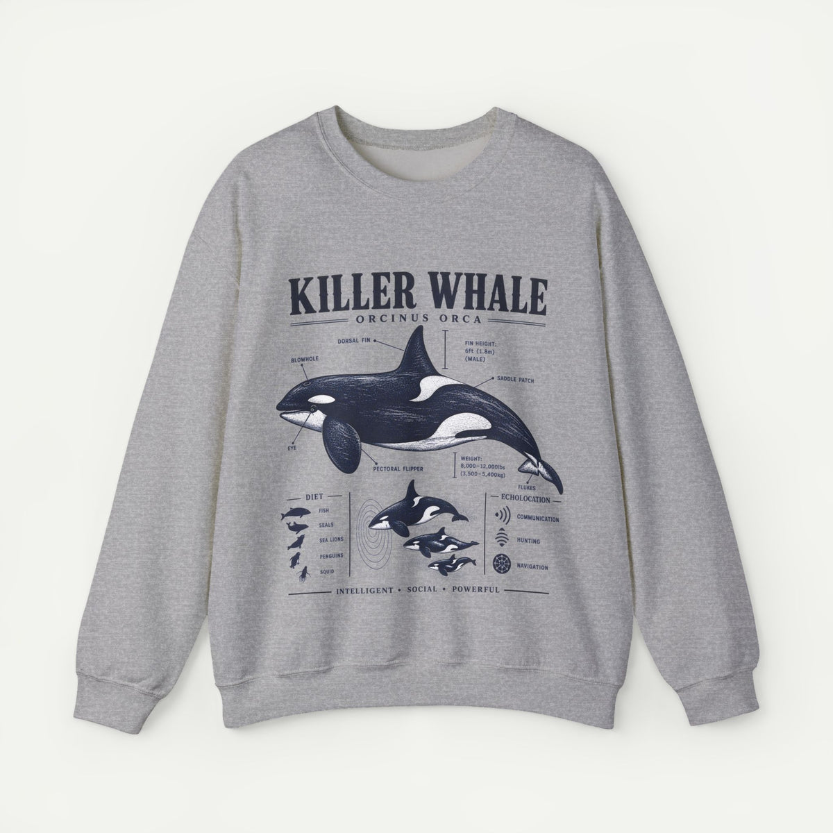 Killer Whale Anatomy Sweatshirt