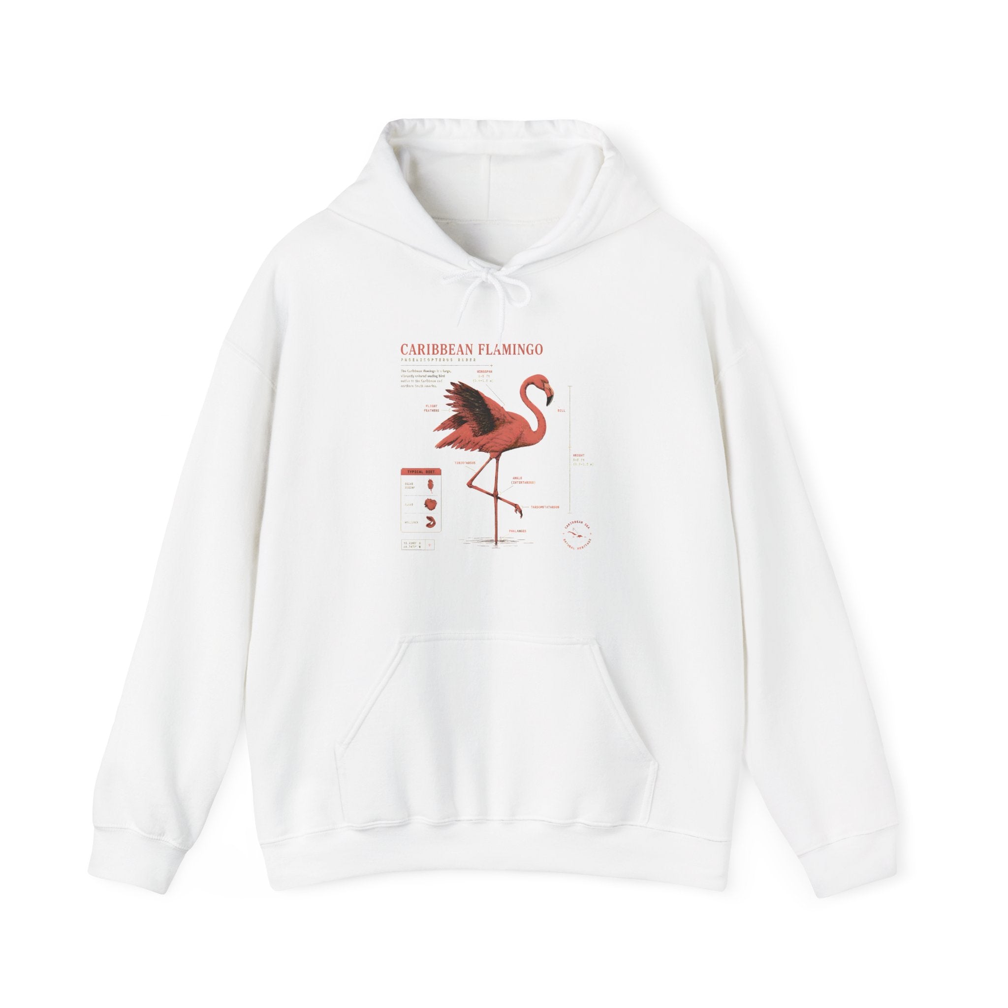 Flamingo Anatomy Hoodie – Caribbean Flamingo Scientific Diagram Sweatshirt Secondary image