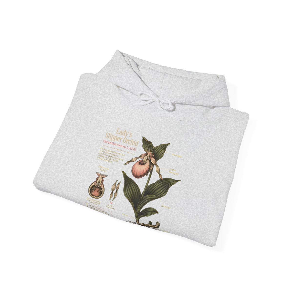 Botanical Peach Illustration Hoodie — Vintage Botanical Chart Sweatshirt