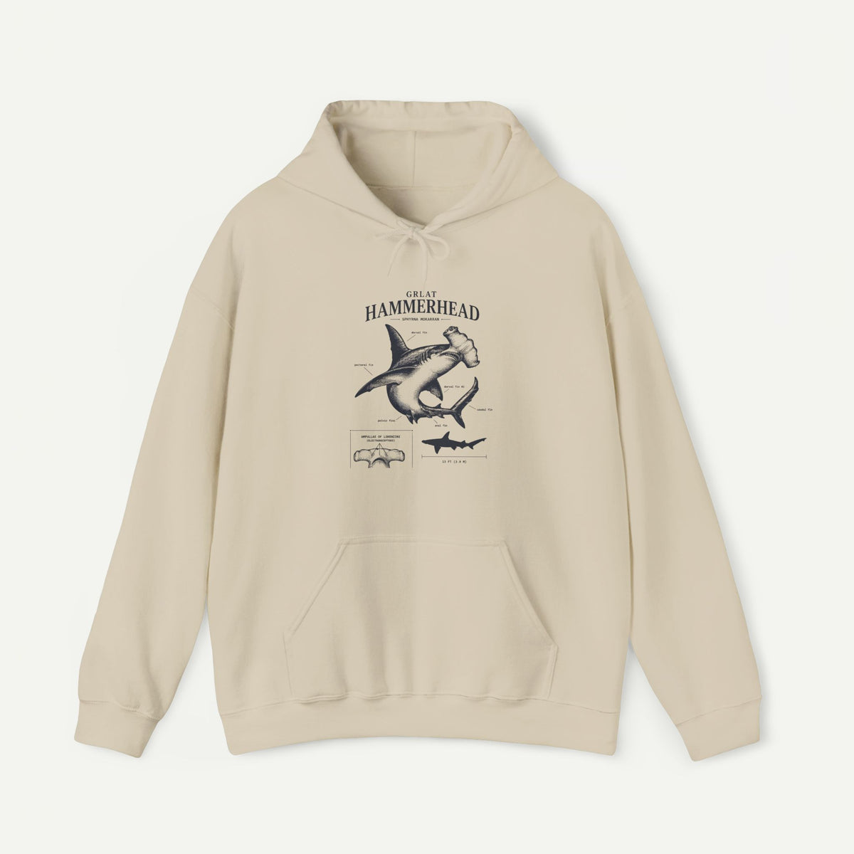 Hammerhead Shark Anatomy Hoodie – Marine Biology Graphic