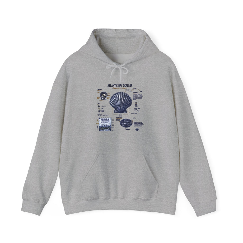 Seashell Anatomy Hoodie – Nautical Beach Diagram Sweatshirt