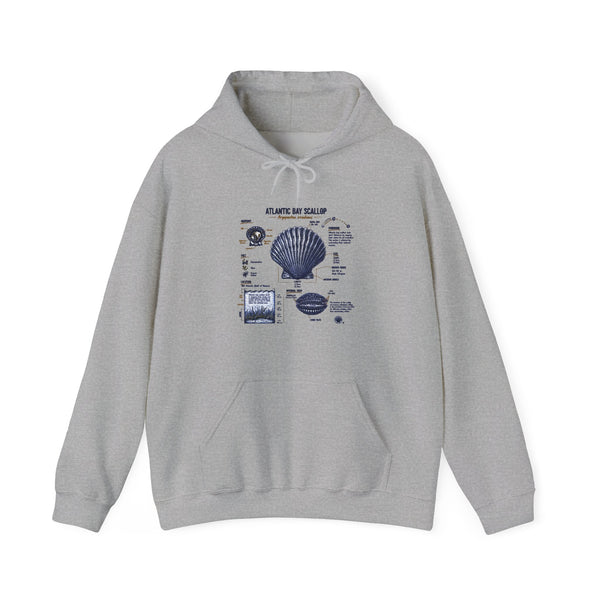 Seashell Anatomy Hoodie – Nautical Beach Diagram Sweatshirt