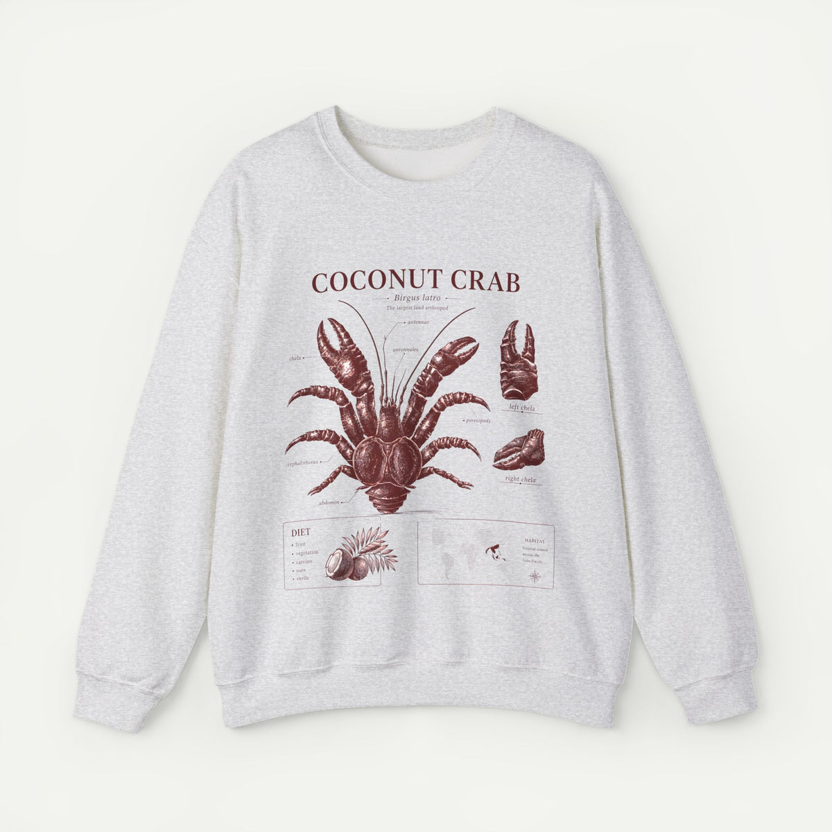 Coconut Crab Anatomy Crewneck Sweatshirt