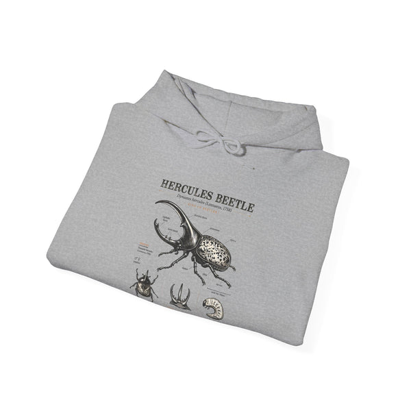 Hercules Beetle Anatomy Hoodie — Vintage Entomology Illustration Sweatshirt
