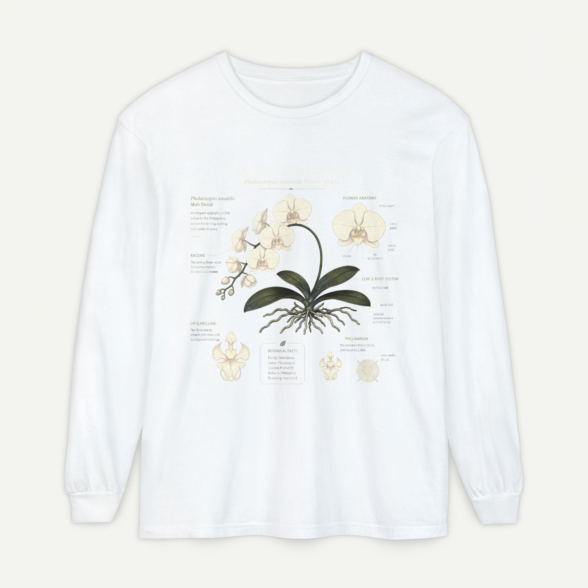Orchid Anatomy Long Sleeve Tee Secondary image