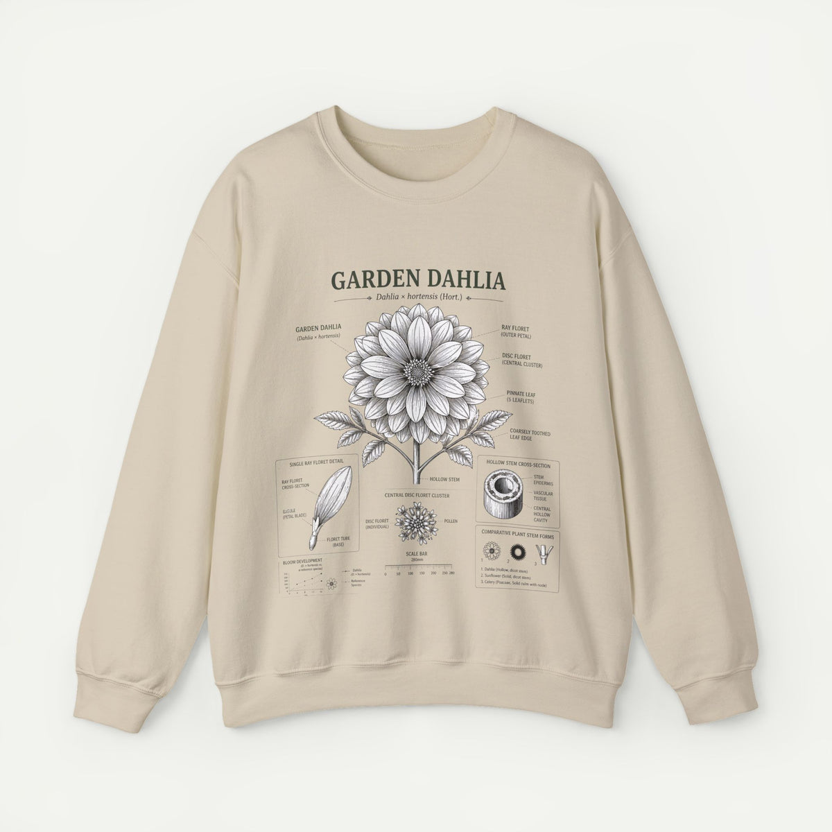 Dahlia Botanical Sweatshirt — Garden Dahlia Floral Diagram Crewneck