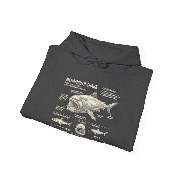 Shark Anatomy Hoodie — Vintage Megalodon Illustration Pullover