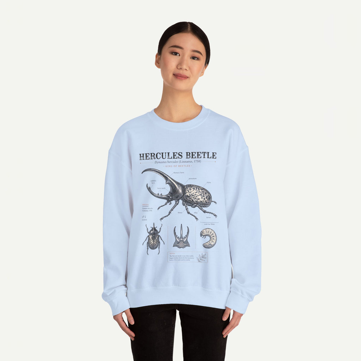 Hercules Beetle Anatomy  Crewneck Sweatshirt – Vintage Entomology Graphic