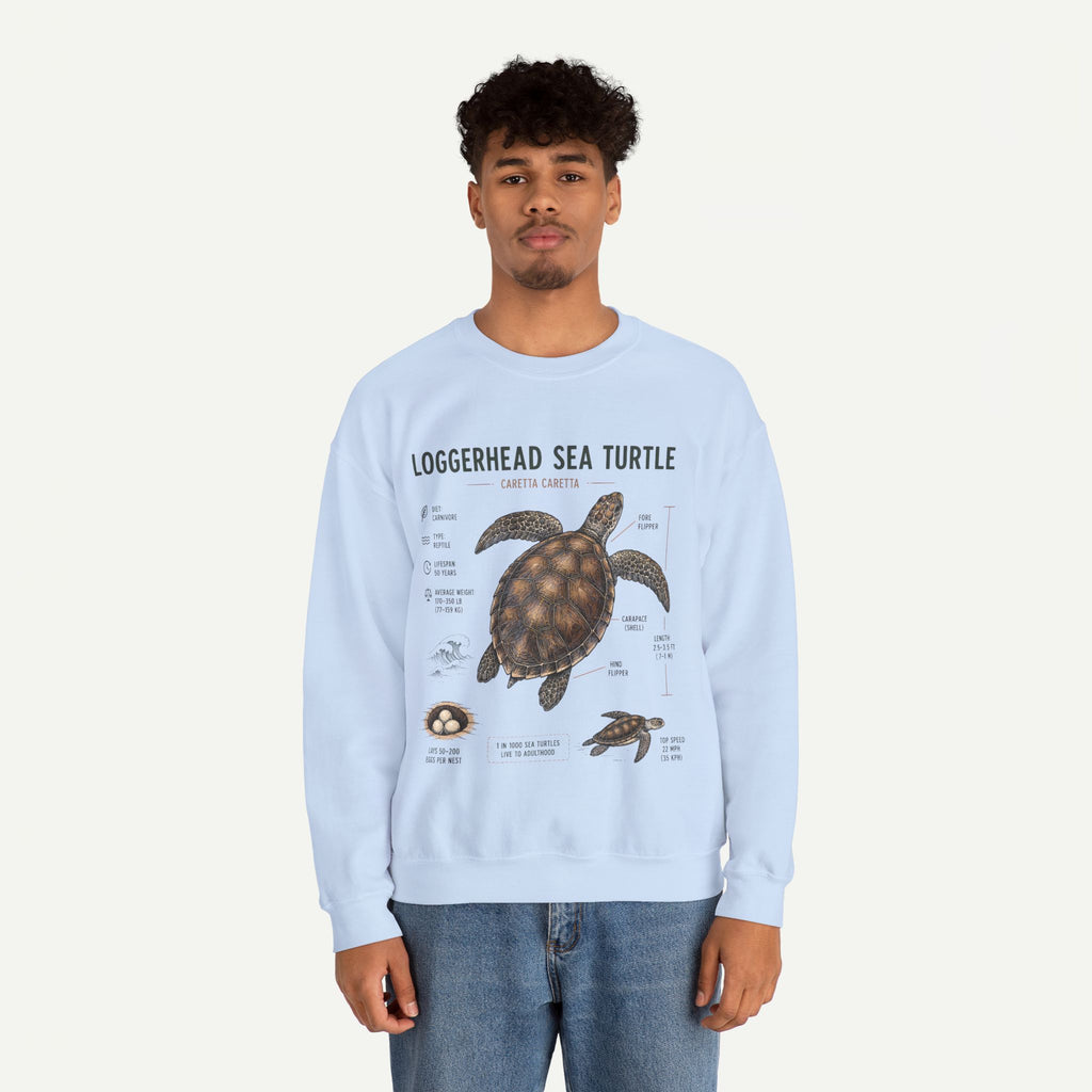 Loggerhead Sea Turtle Anatomy Sweatshirt — Marine Life Educational Crewneck