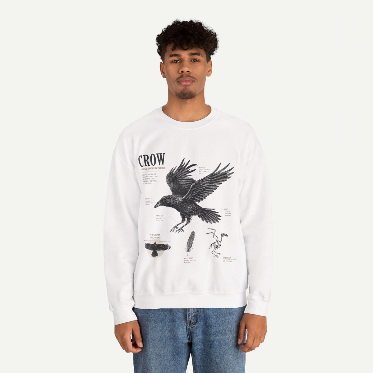 Crow Anatomy Sweatshirt