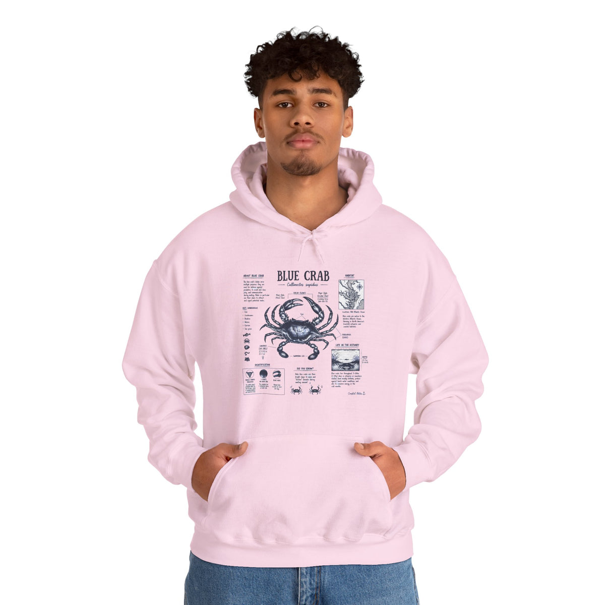 Blue Crab Anatomy Hoodie — Nautical Seafood Diagram Sweatshirt