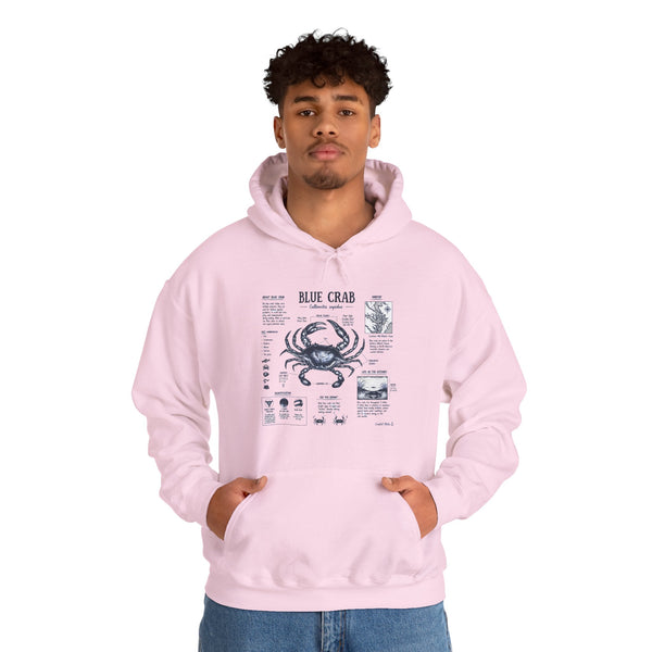 Blue Crab Anatomy Hoodie — Nautical Seafood Diagram Sweatshirt