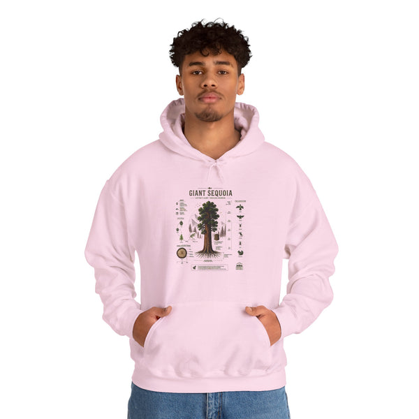 Giant Sequoia Botanical Hoodie — Vintage Tree Illustration & Facts