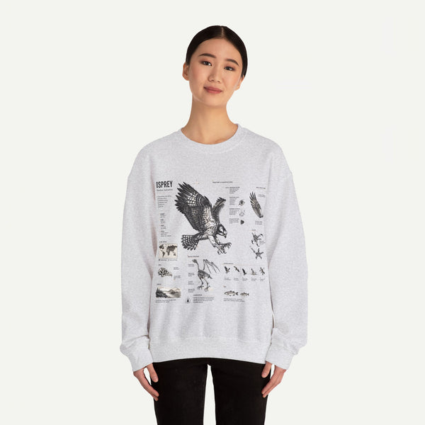 Osprey Anatomy Sweatshirt — Illustrated Bird Guide Pullover