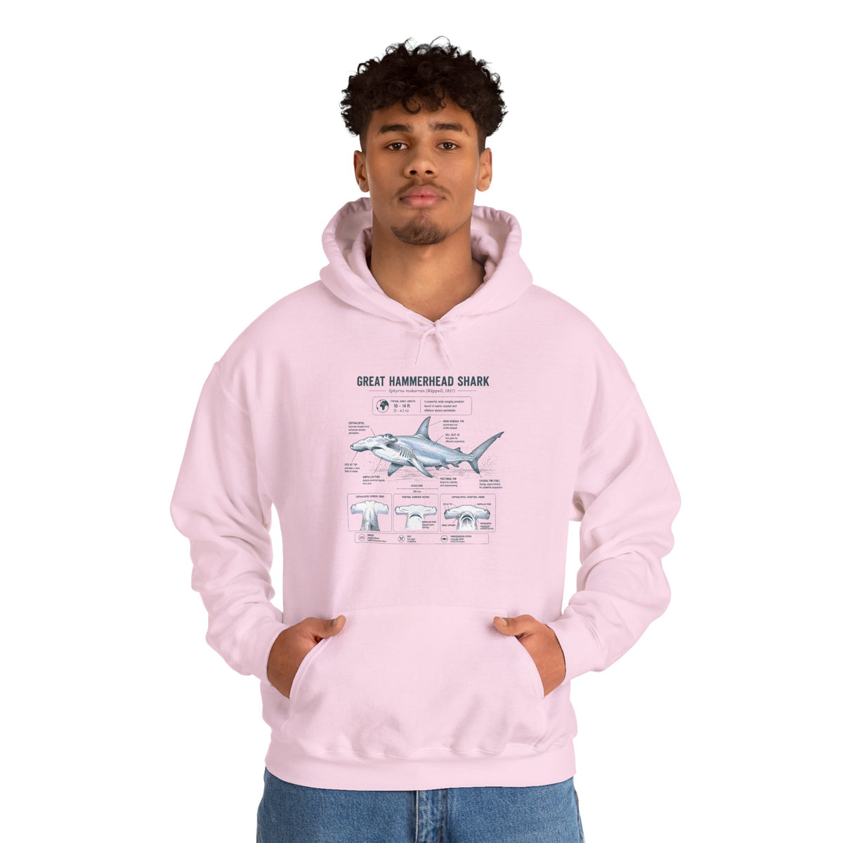 Shark Anatomy Hoodie — Great Hammerhead Shark Diagram Sweatshirt