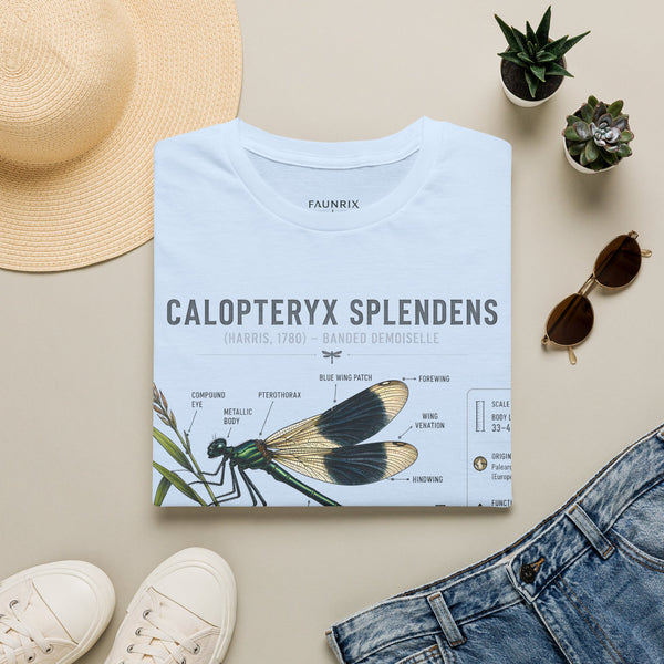Calopteryx Splendens Anatomy T-Shirt