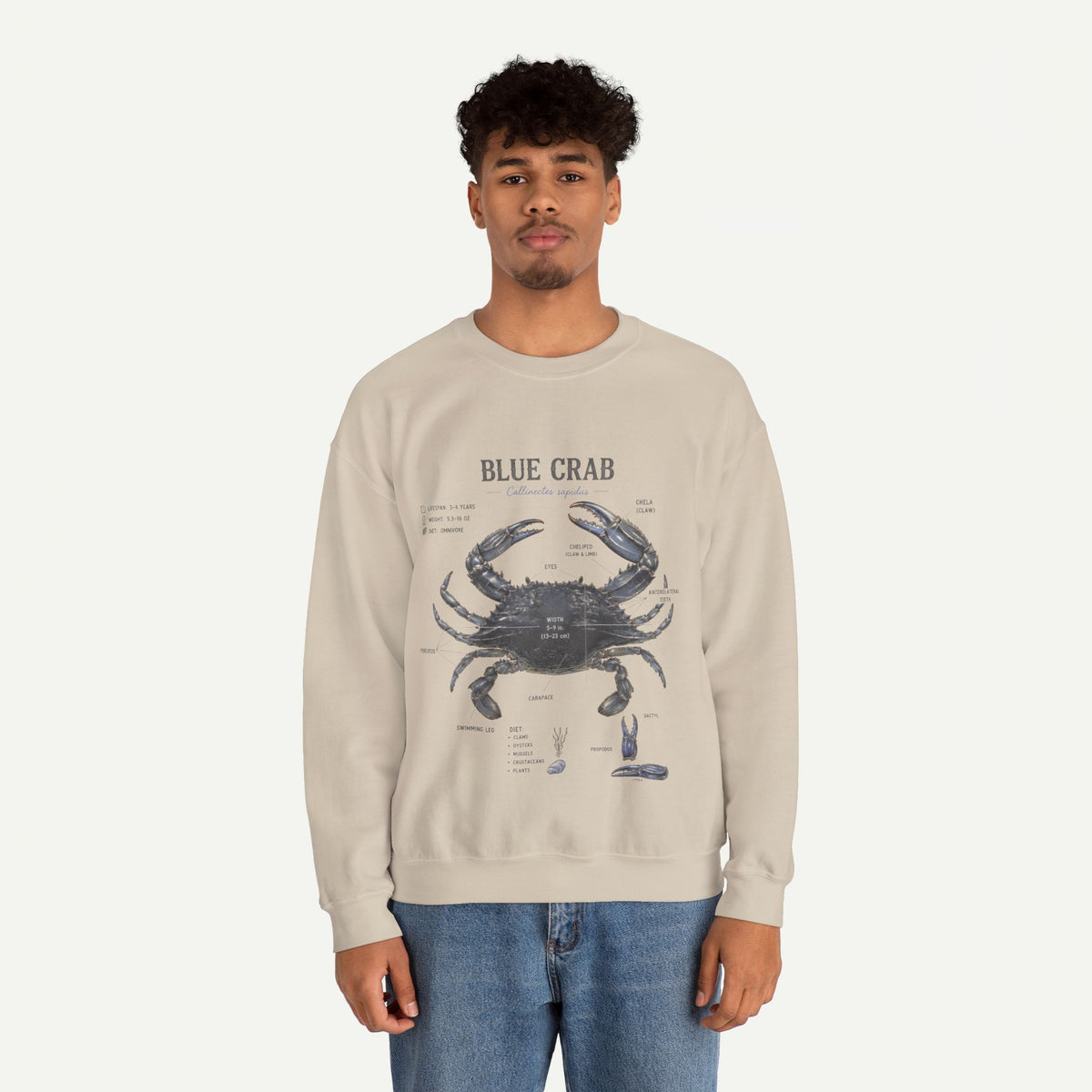 Blue Crab Sweatshirt — Vintage Nautical Marine Illustration