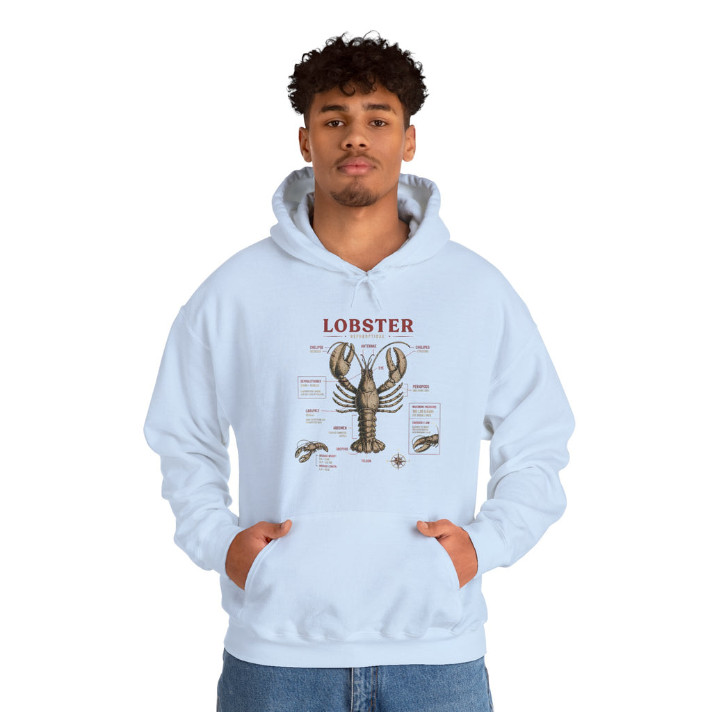 Lobster Anatomy Hoodie – Nautical Seafood Illustration Pullover