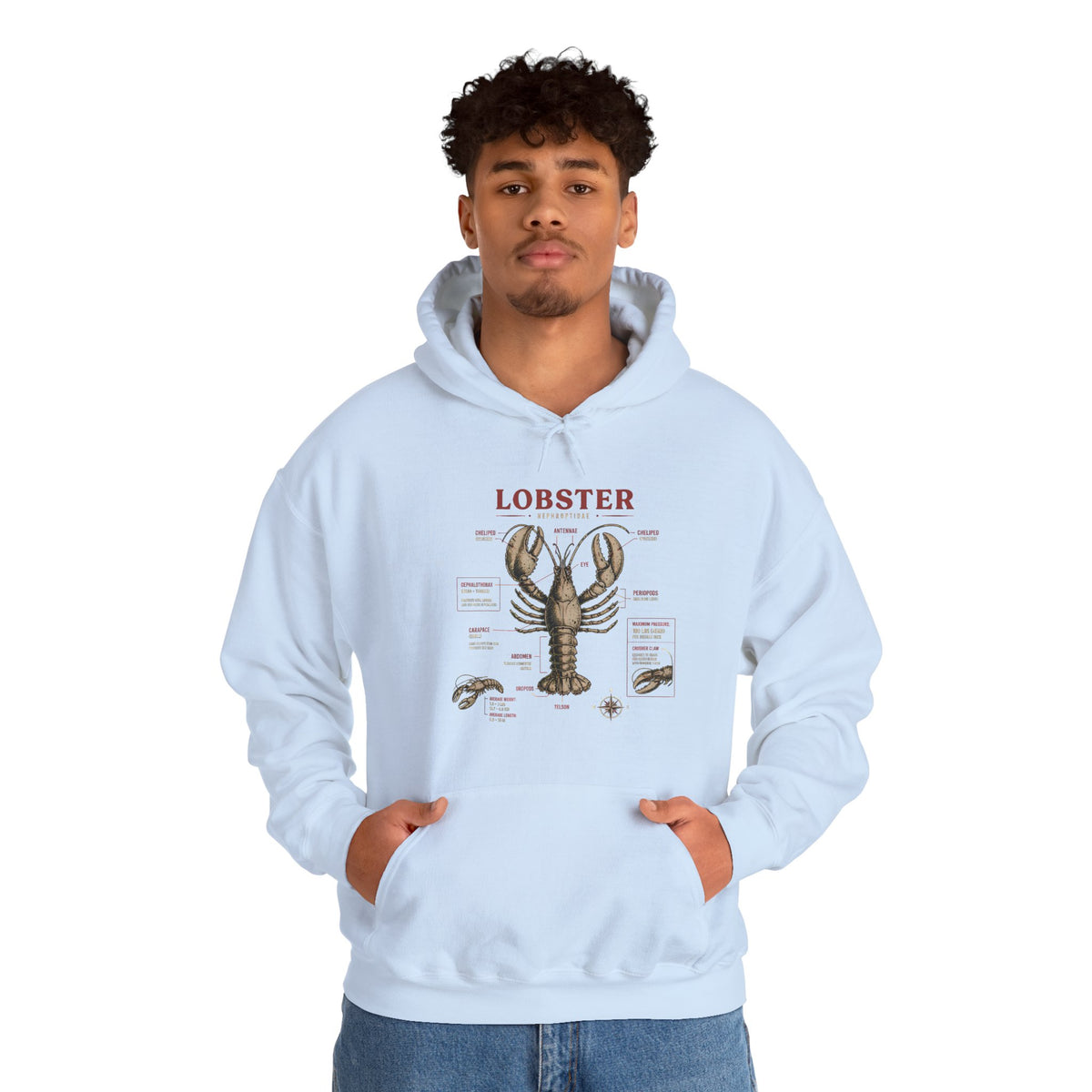 Lobster Anatomy Hoodie – Nautical Seafood Illustration Pullover