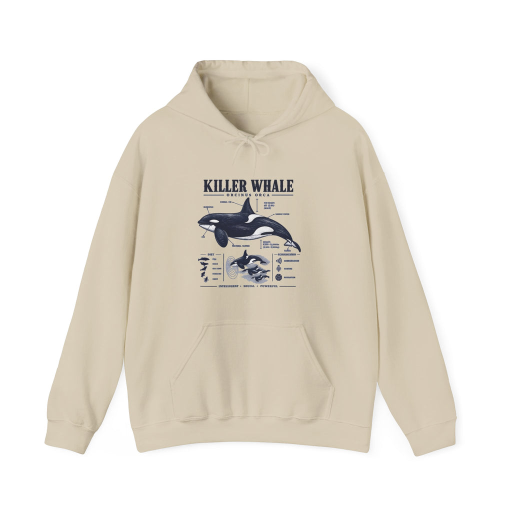 Killer Whale Anatomy Hoodie — Orca Scientific Diagram Sweatshirt