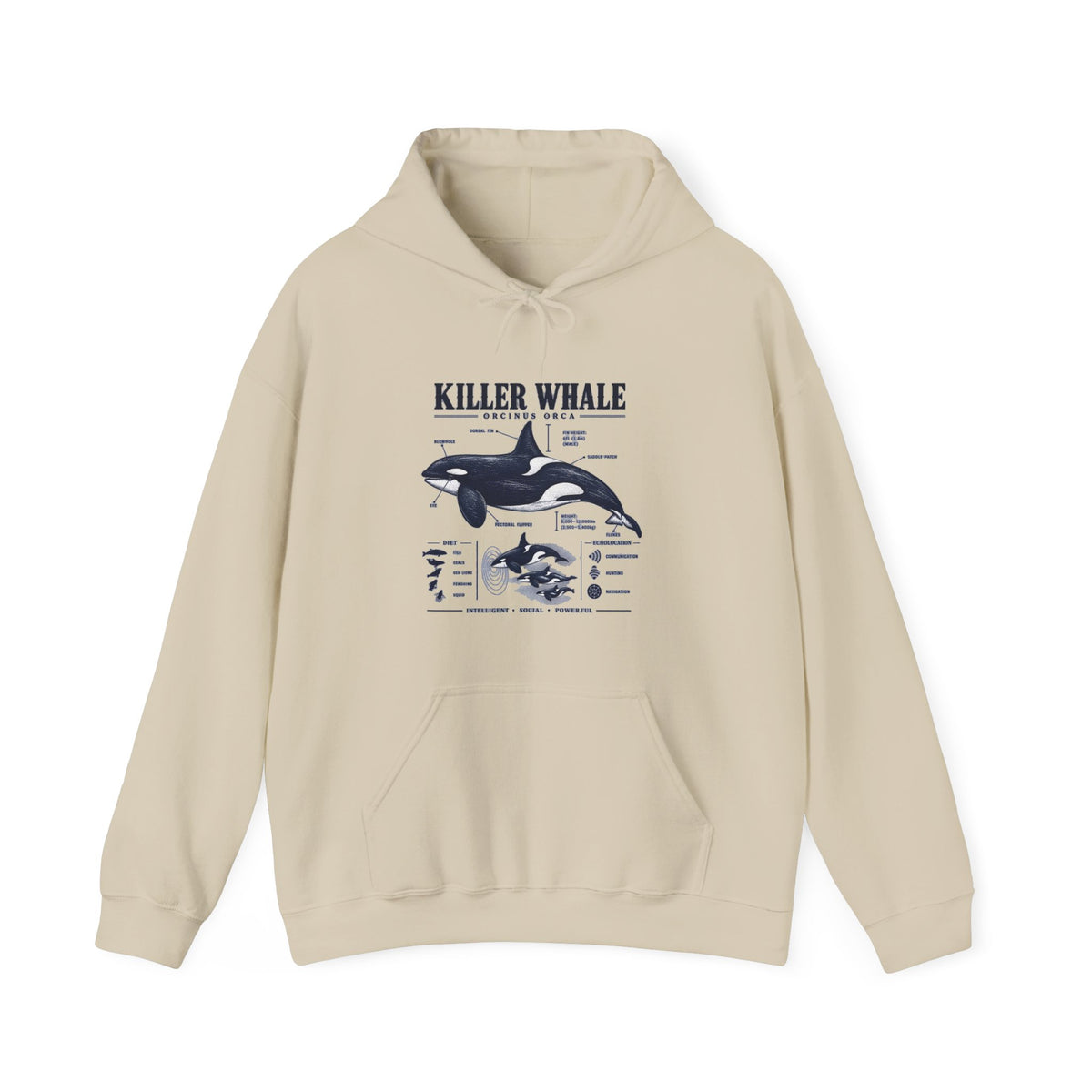 Killer Whale Anatomy Hoodie — Orca Scientific Diagram Sweatshirt