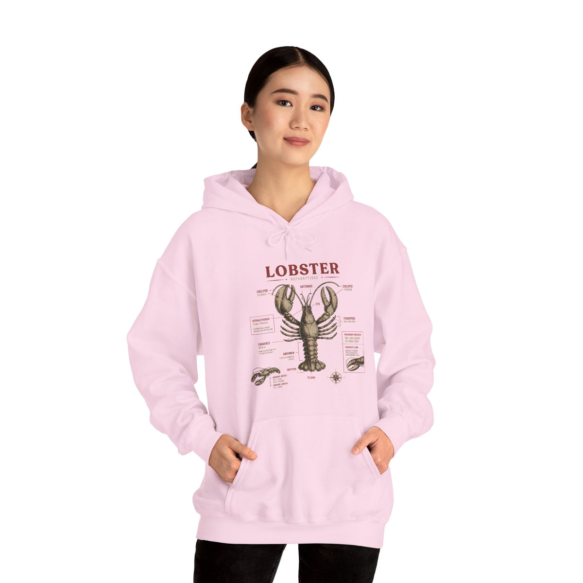 Lobster Anatomy Hoodie – Nautical Seafood Illustration Pullover