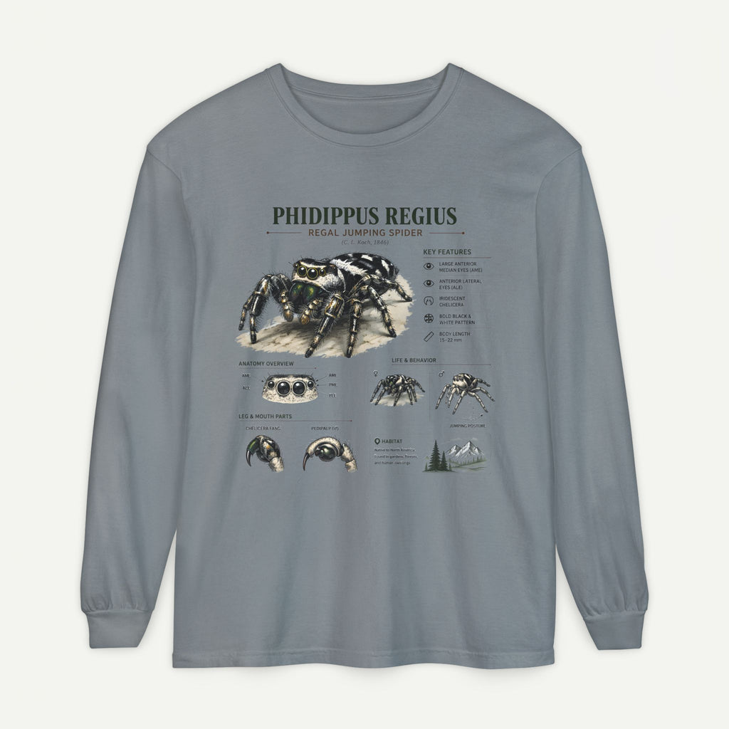 Phidippus Regius Jumping Spider Illustration Long Sleeve Tee