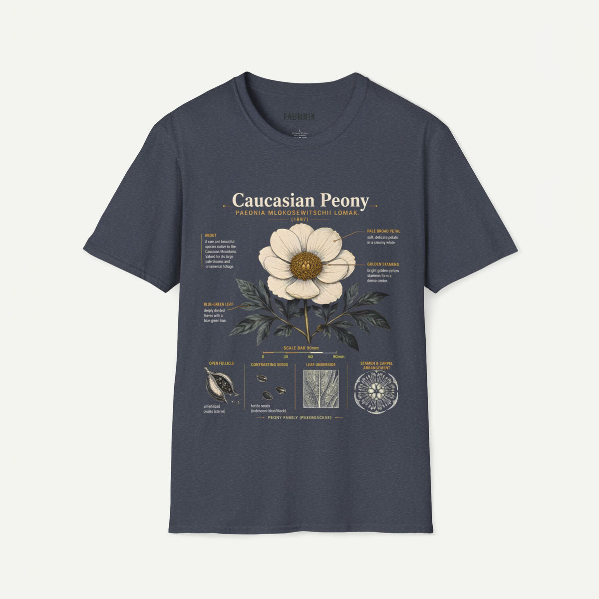 Caucasian Peony Botanical Anatomy T-Shirt — Vintage Floral Illustration Tee