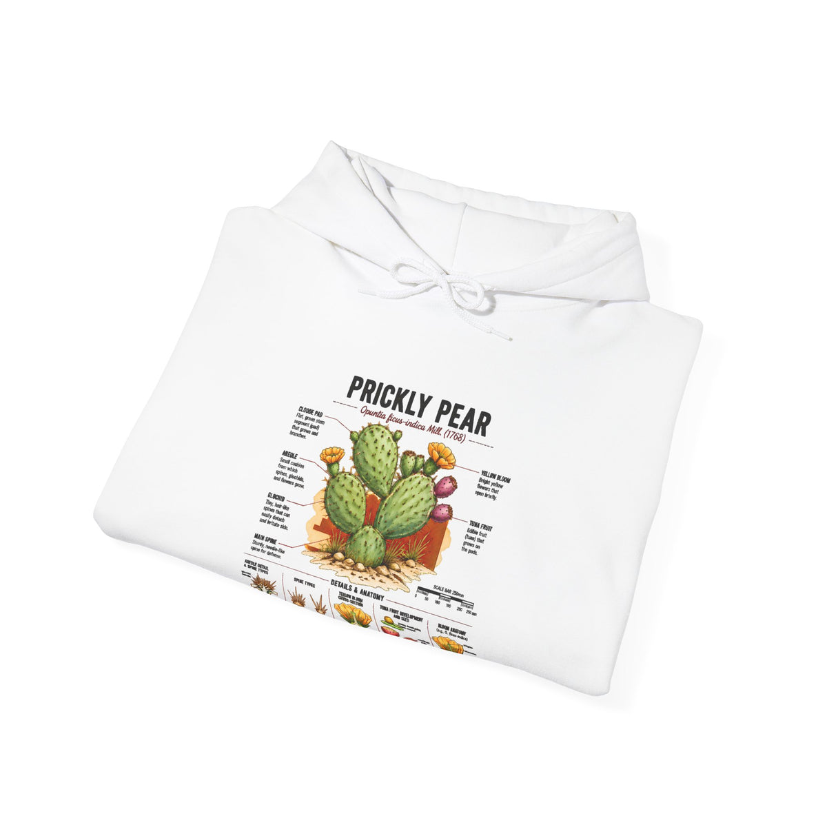 Prickly Pear Botanical Hoodie – Cactus Anatomy Illustrated Sweatshirt