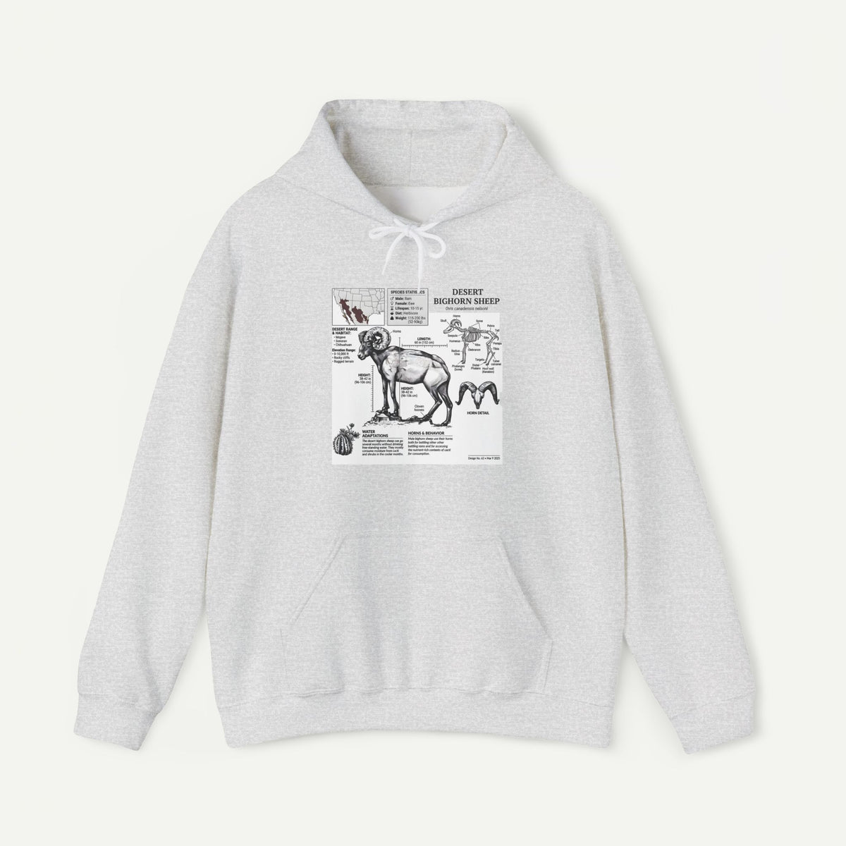 Dog Anatomy Hoodie – Vintage Canine Diagram Sweatshirt