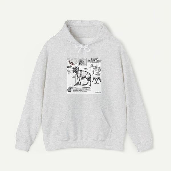Dog Anatomy Hoodie – Vintage Canine Diagram Sweatshirt