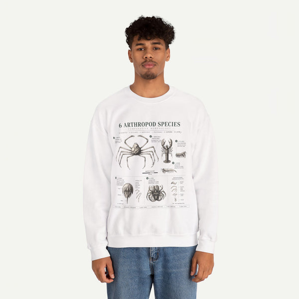 Arthropod Species Diagram Sweatshirt — Vintage Scientific Illustration Crewneck