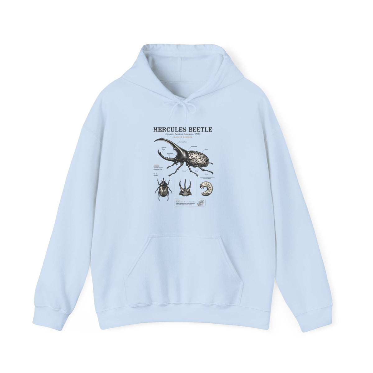Hercules Beetle Anatomy Hoodie — Vintage Entomology Illustration Sweatshirt Main image