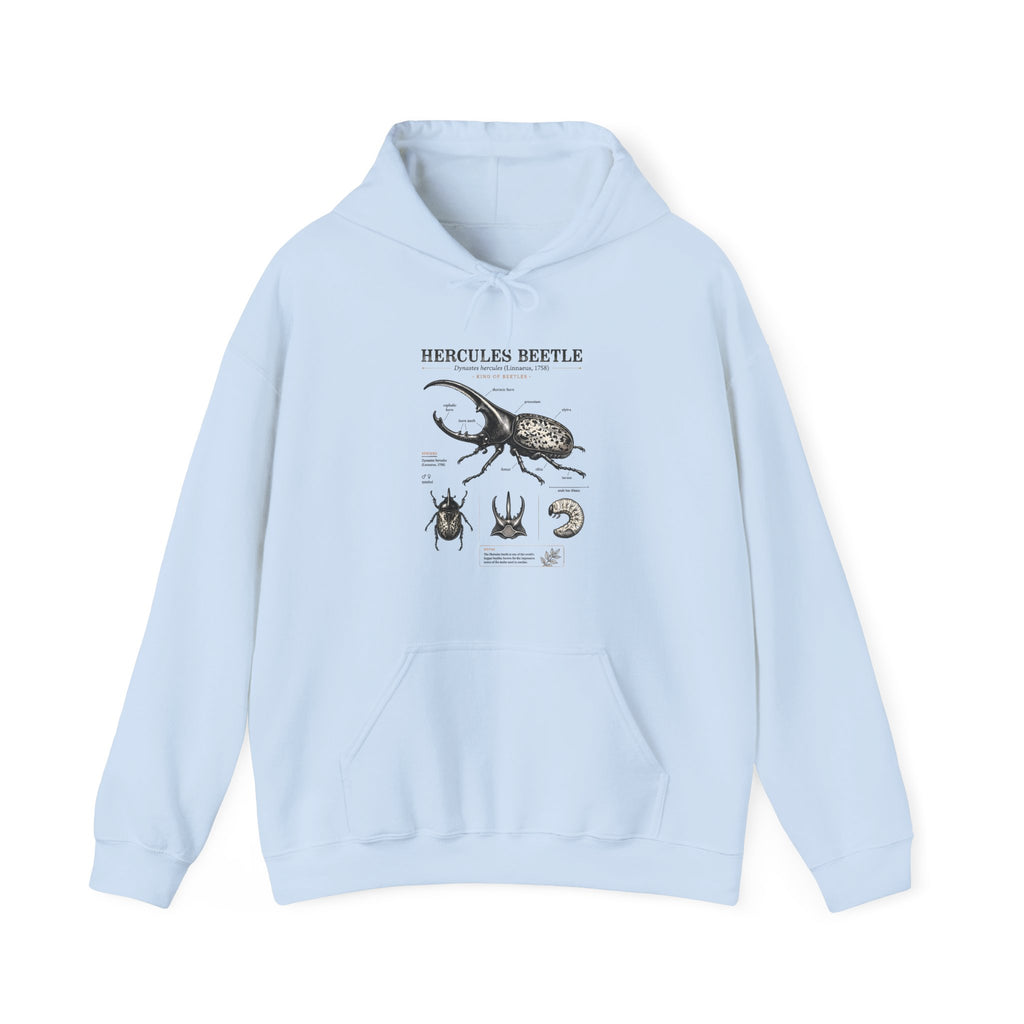 Hercules Beetle Anatomy Hoodie — Vintage Entomology Illustration Sweatshirt