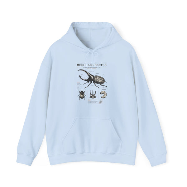 Hercules Beetle Anatomy Hoodie — Vintage Entomology Illustration Sweatshirt