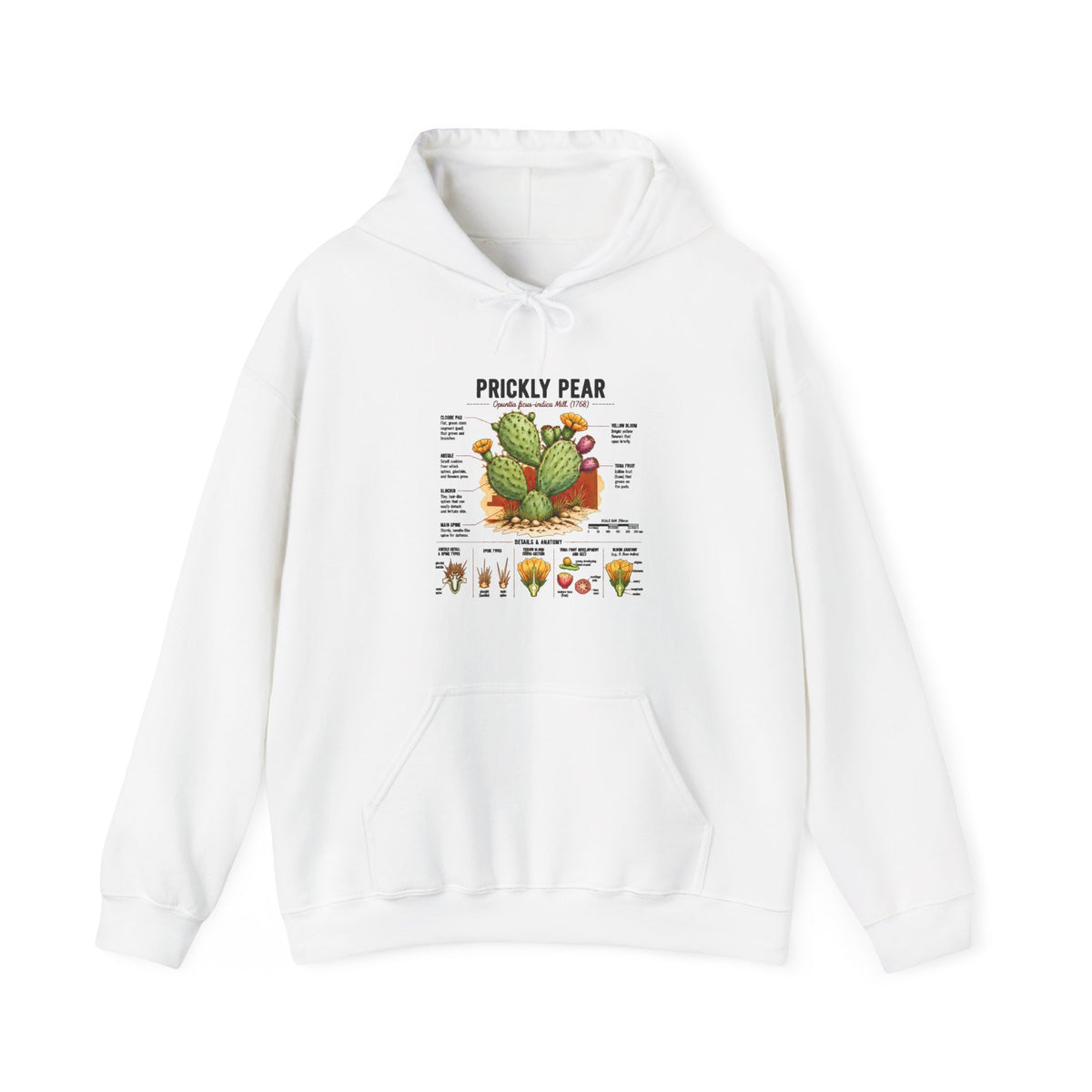 Prickly Pear Botanical Hoodie – Cactus Anatomy Illustrated Sweatshirt Main image