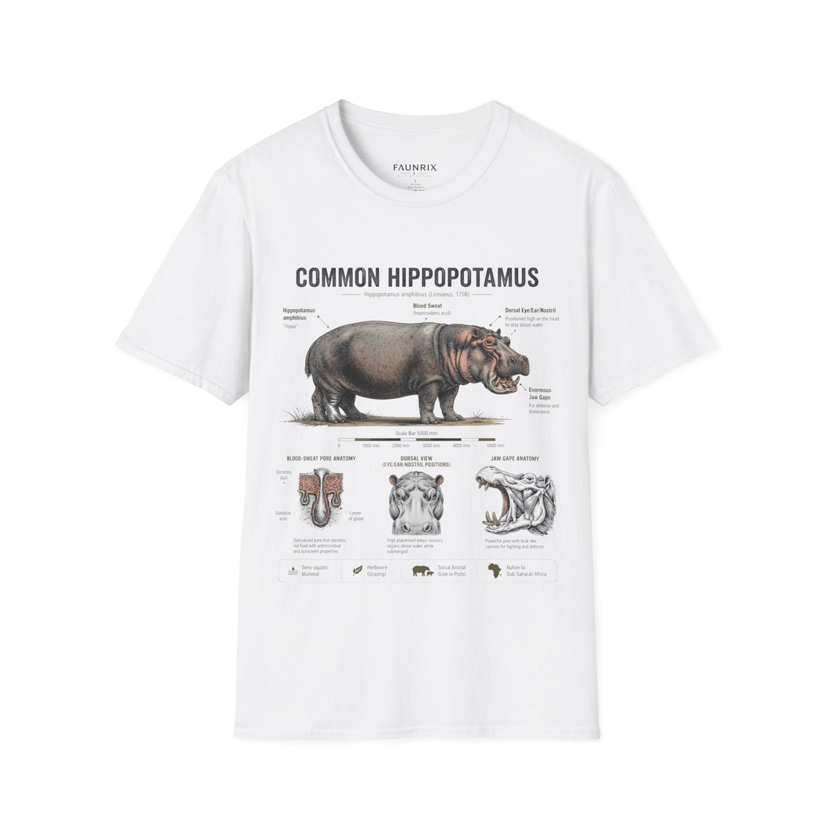 Common Hippopotamus Anatomy T-Shirt — Vintage Natural History Hippo Tee