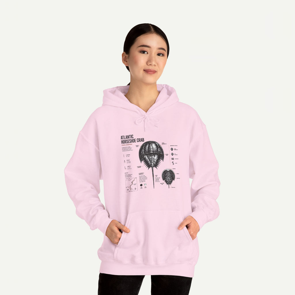 Horseshoe Crab Anatomy Hoodies