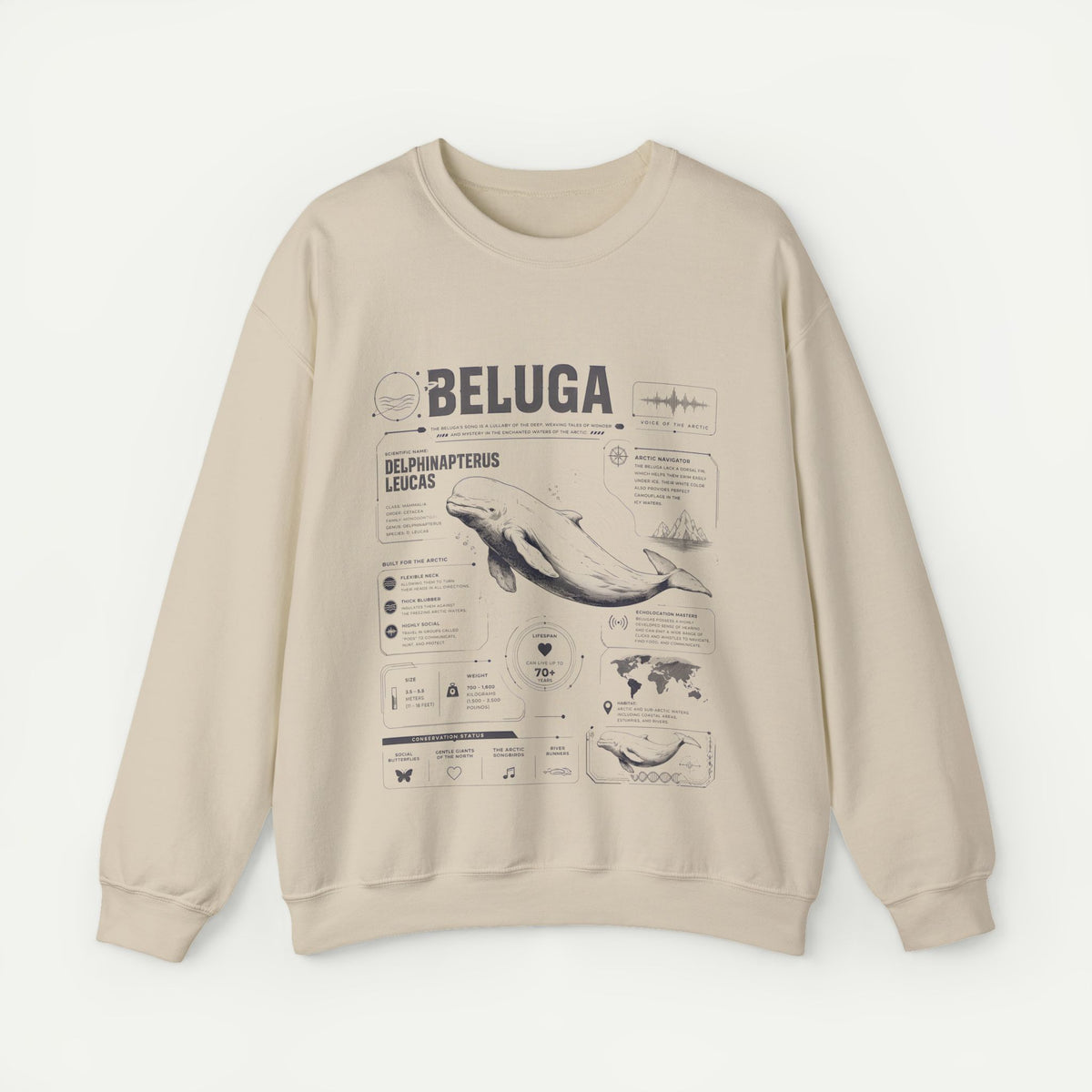 Beluga Whale Anatomy Sweatshirt