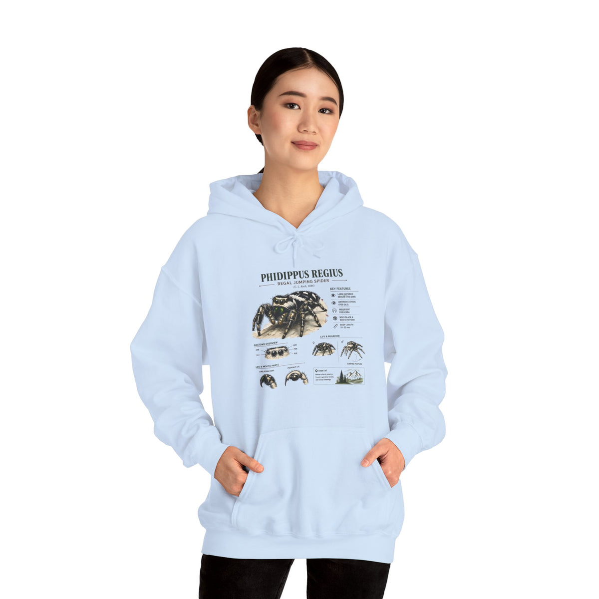 Tarantula Species Hoodie — Phidippus Regius Educational Spider Sweatshirt