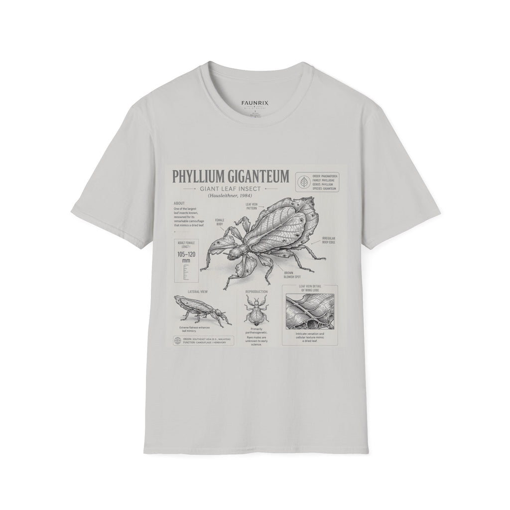 Phyllium Giganteum Anatomy T-Shirt — Botanical Insect Illustration Tee
