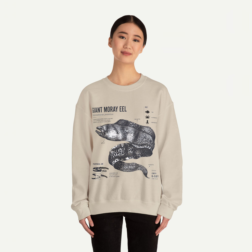 Giant Moray Eel Anatomy Sweatshirt