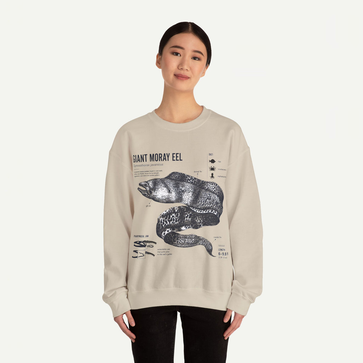 Giant Moray Eel Anatomy Sweatshirt